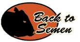 Link back to Semen For Sale Page